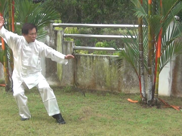 Yang Style Taijiquan, Tai Chi Chuan