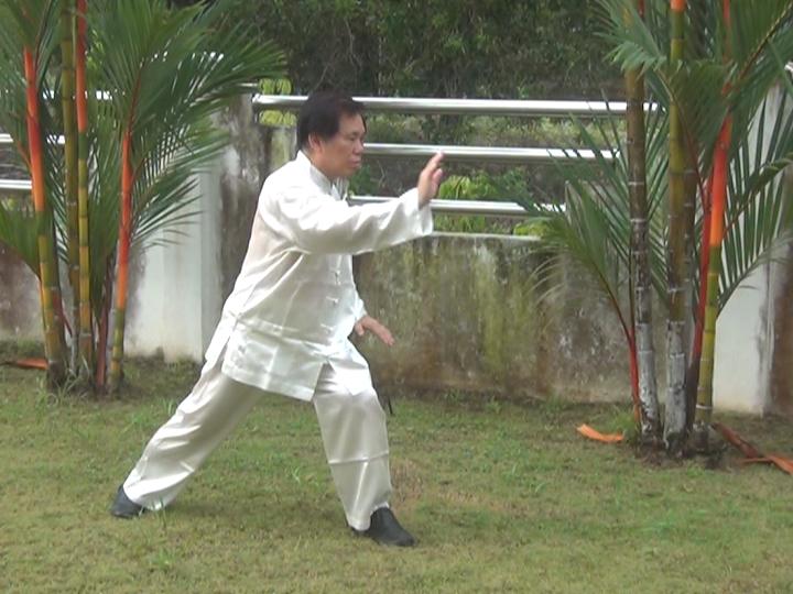 Yang Style Taijiquan, Tai Chi Chuan