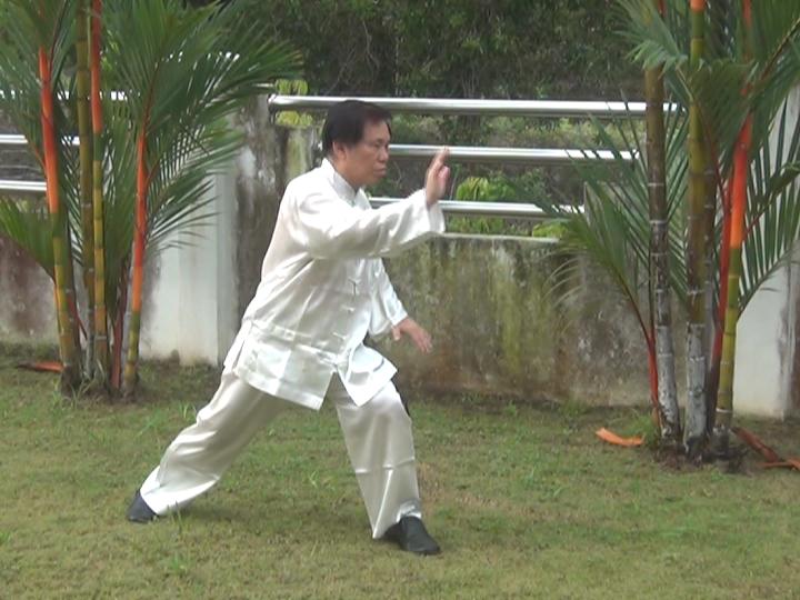 Taijiquan, Tai Chi Chuan