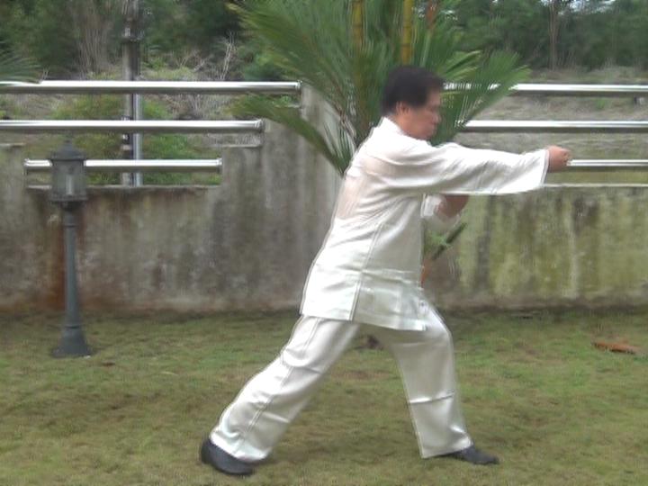 Yang Style Taijiquan, Tai Chi Chuan