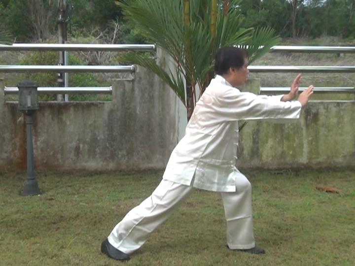 Yang Style Taijiquan, Tai Chi Chuan