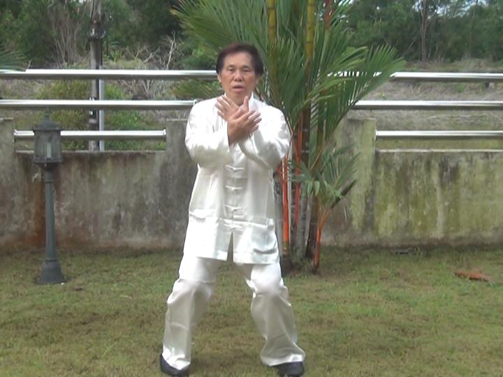 Yang Style Taijiquan, Tai Chi Chuan