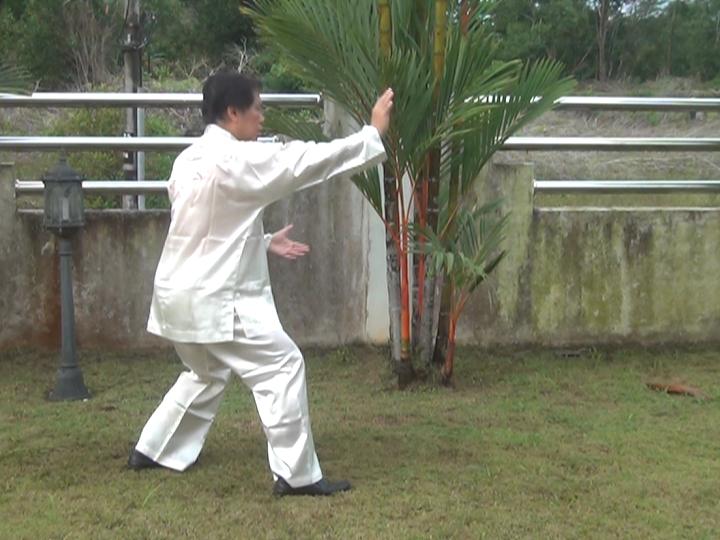 Yang Style Taijiquan, Tai Chi Chuan