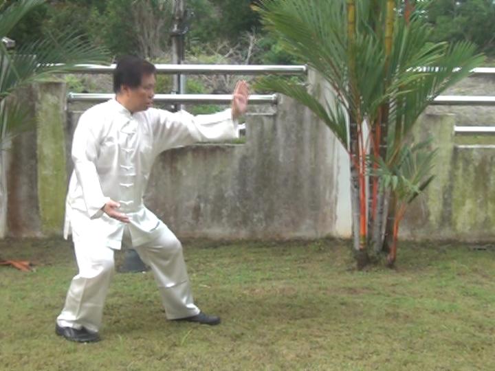 Yang Style Taijiquan, Tai Chi Chuan