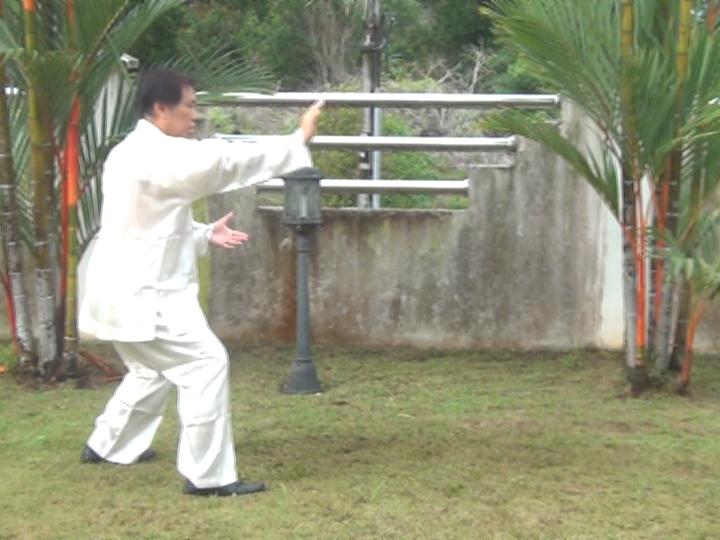 Yang Style Taijiquan, Tai Chi Chuan