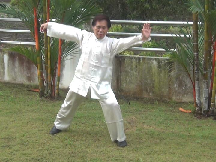 Yang Style Taijiquan, Tai Chi Chuan