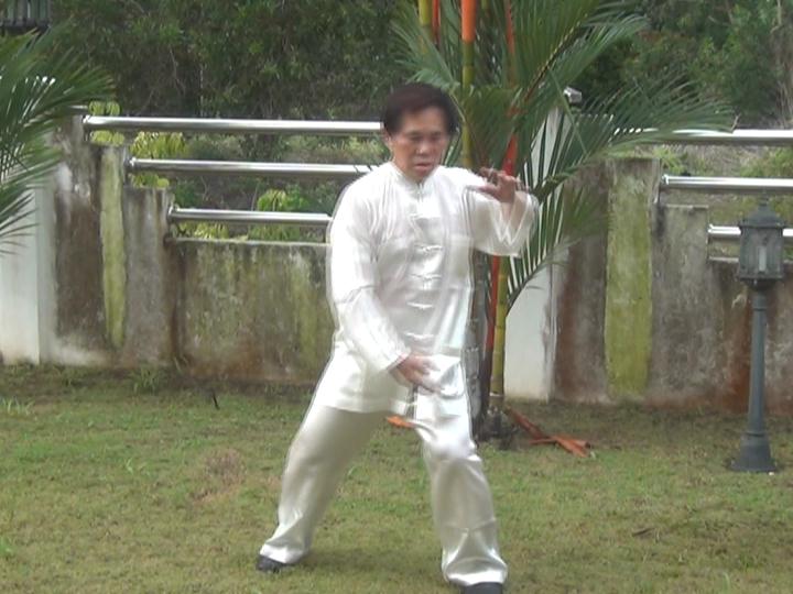 Yang Style Taijiquan, Tai Chi Chuan