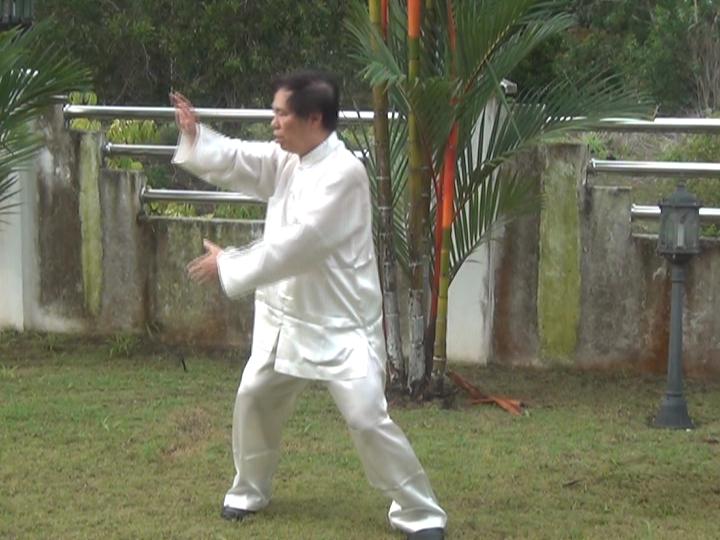 Yang Style Taijiquan, Tai Chi Chuan