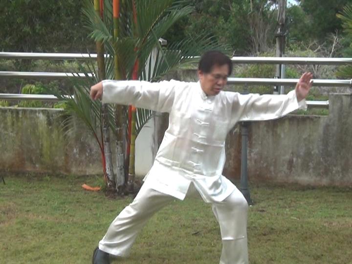 Yang Style Taijiquan, Tai Chi Chuan