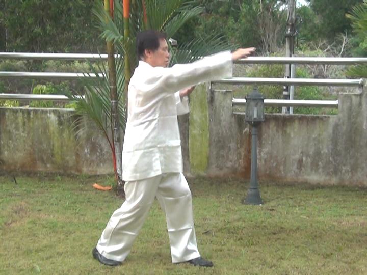 Yang Style Taijiquan, Tai Chi Chuan