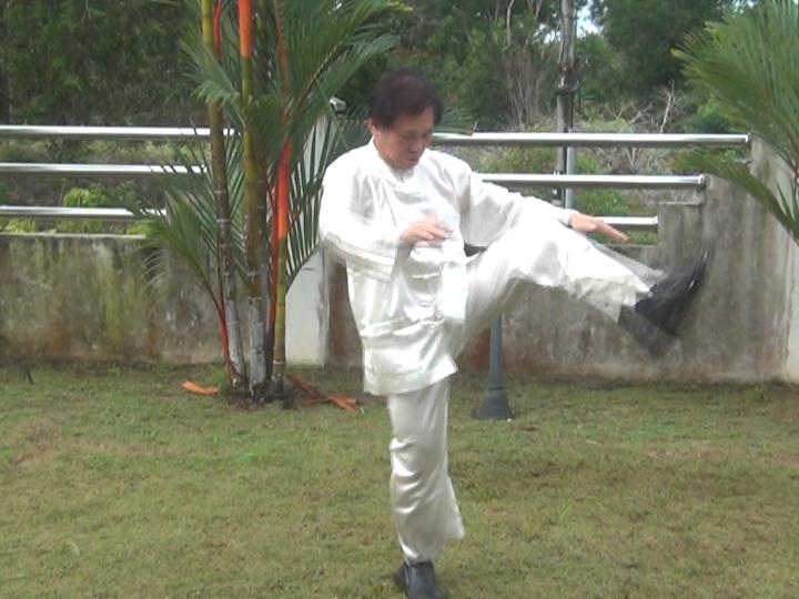 Yang Style Taijiquan, Tai Chi Chuan