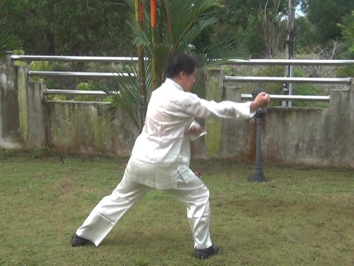 Yang Style Taijiquan, Tai Chi Chuan