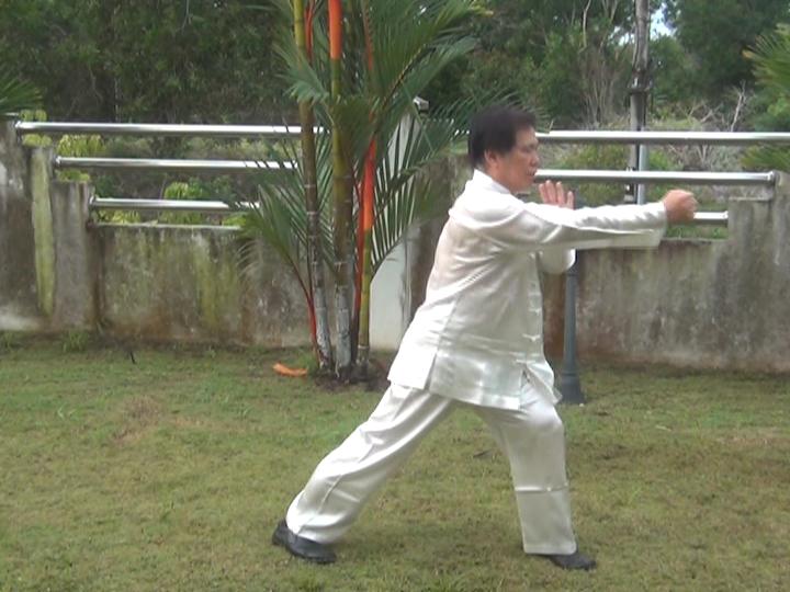 Yang Style Taijiquan, Tai Chi Chuan