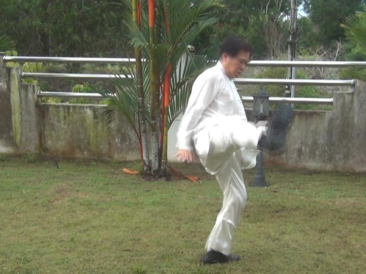 Yang Style Taijiquan, Tai Chi Chuan