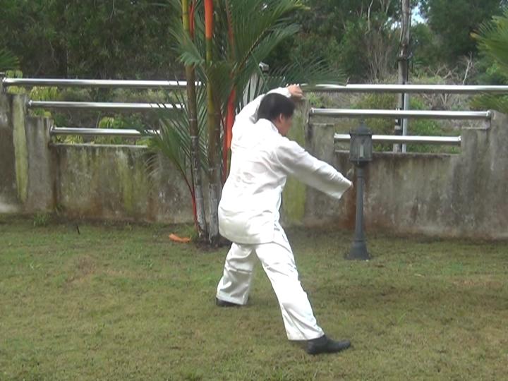 Yang Style Taijiquan, Tai Chi Chuan