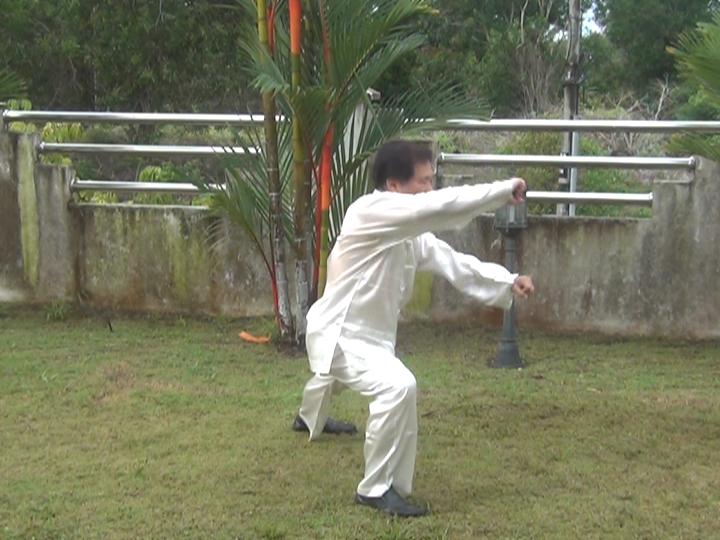 Yang Style Taijiquan, Tai Chi Chuan