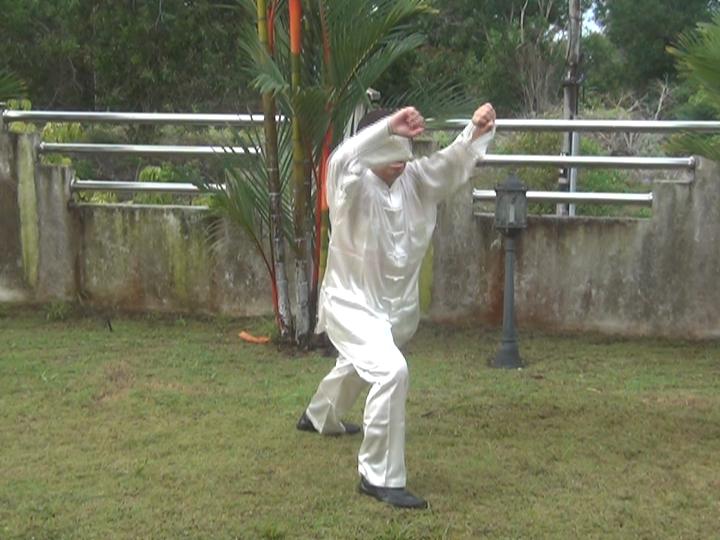 Yang Style Taijiquan, Tai Chi Chuan