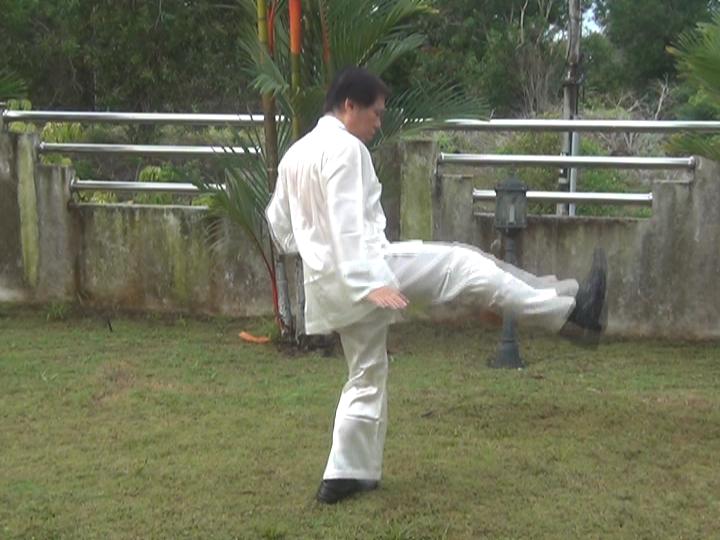 Yang Style Taijiquan, Tai Chi Chuan