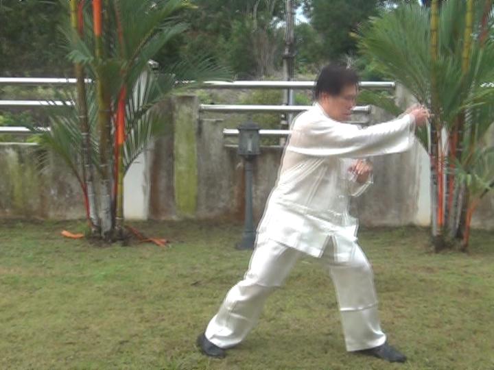 Yang Style Taijiquan, Tai Chi Chuan