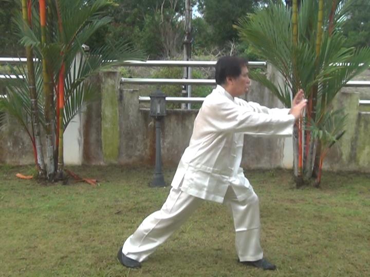 Yang Style Taijiquan, Tai Chi Chuan