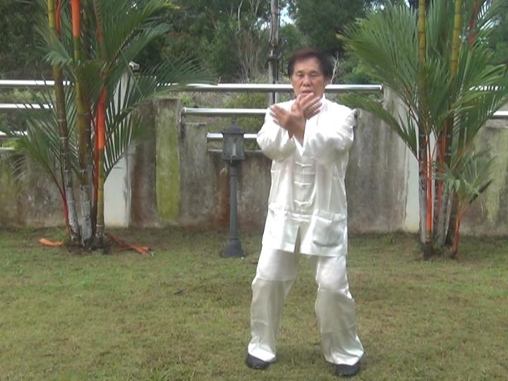 Yang Style Taijiquan, Tai Chi Chuan