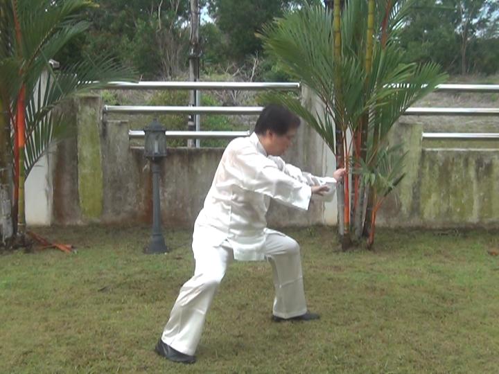 Yang Style Taijiquan, Tai Chi Chuan