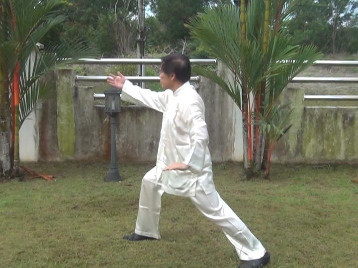 Yang Style Taijiquan