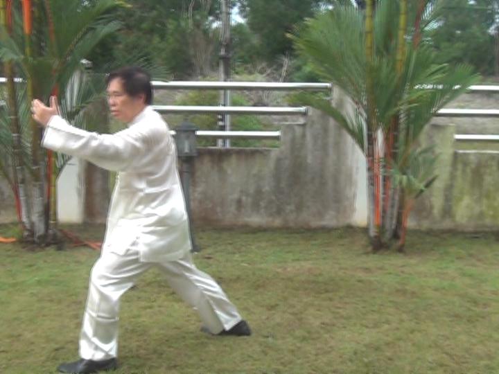 Yang Style Taijiquan, Tai Chi Chuan