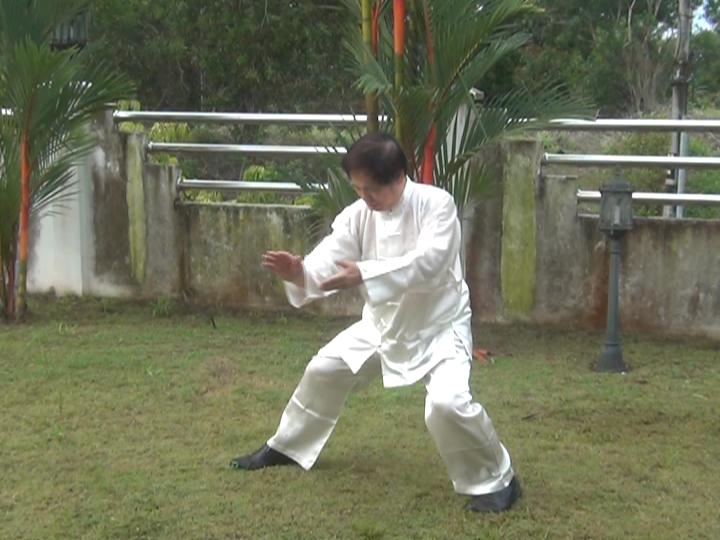 Yang Style Taijiquan, Tai Chi Chuan