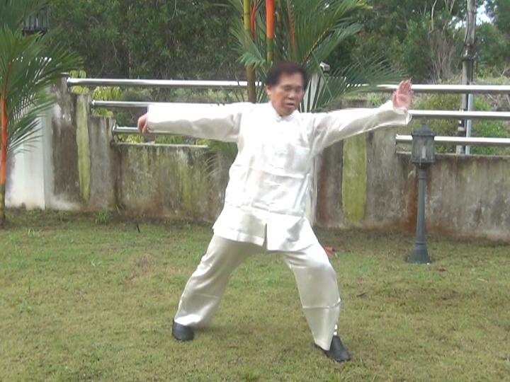 Yang Style Taijiquan, Tai Chi Chuan