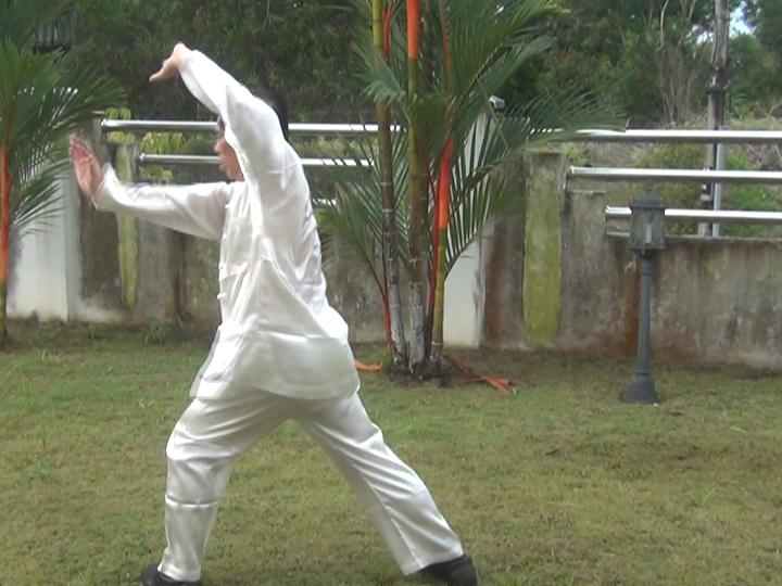 Yang Style Taijiquan, Tai Chi Chuan