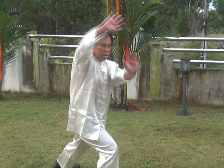 Yang Style Taijiquan