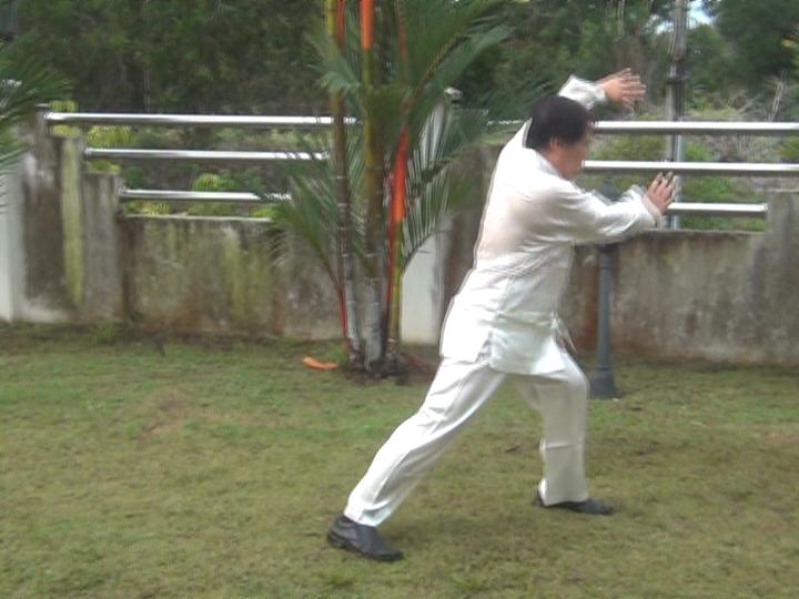 Yang Style Taijiquan, Tai Chi Chuan