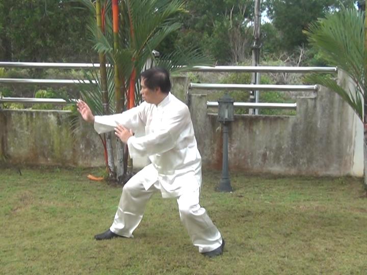 Yang Style Taijiquan, Tai Chi Chuan