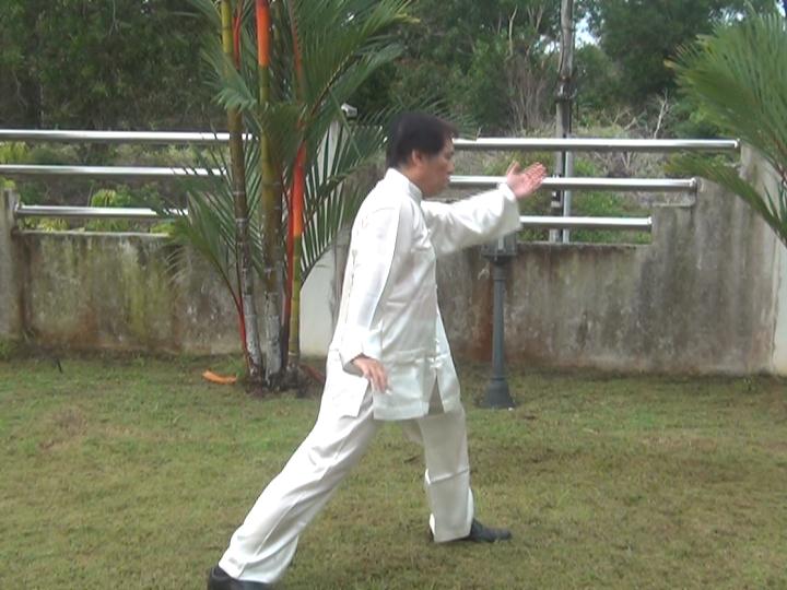 Yang Style Taijiquan, Tai Chi Chuan