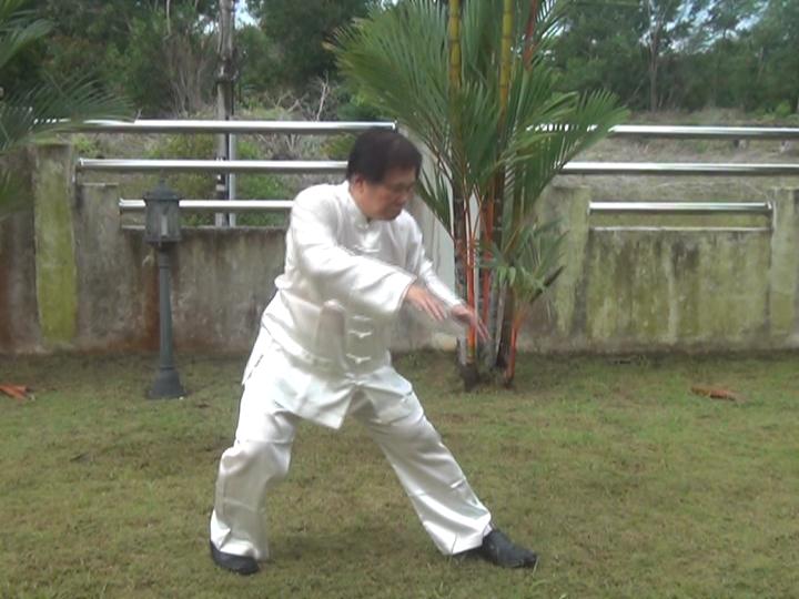 Yang Style Taijiquan, Tai Chi Chuan