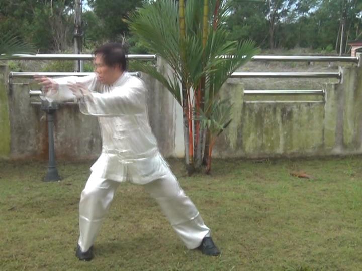 Yang Style Taijiquan, Tai Chi Chuan