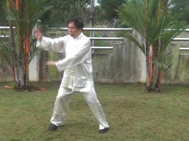 Yang Style Taijiquan, Tai Chi Chuan