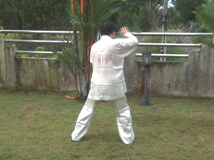 Yang Style Taijiquan, Tai Chi Chuan