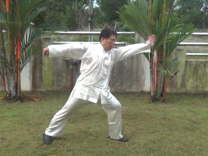 Yang Style Taijiquan, Tai Chi Chuan