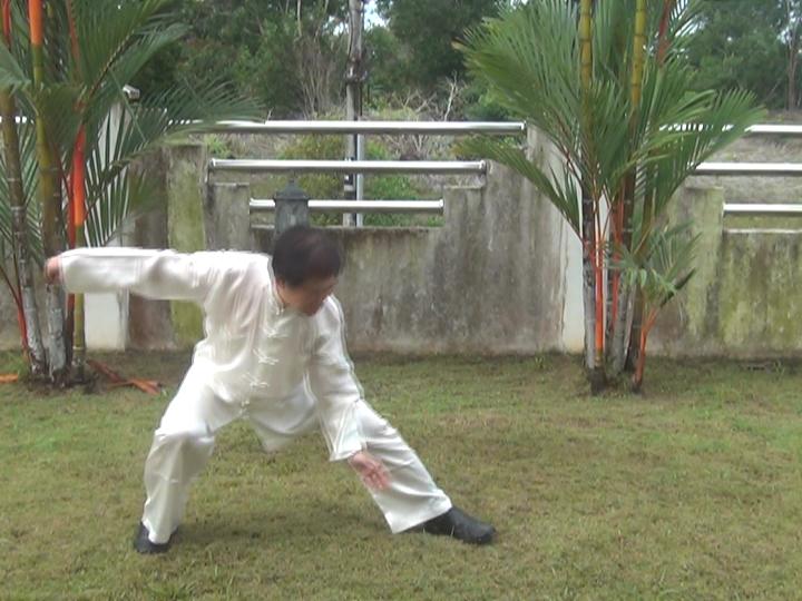 Yang Style Taijiquan, Tai Chi Chuan