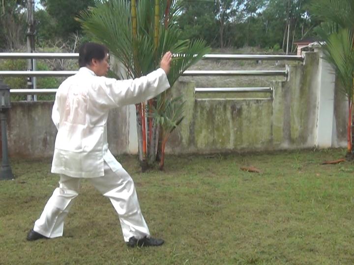 Yang Style Taijiquan, Tai Chi Chuan