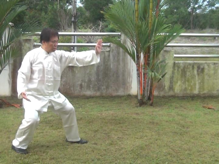 Yang Style Taijiquan, Tai Chi Chuan