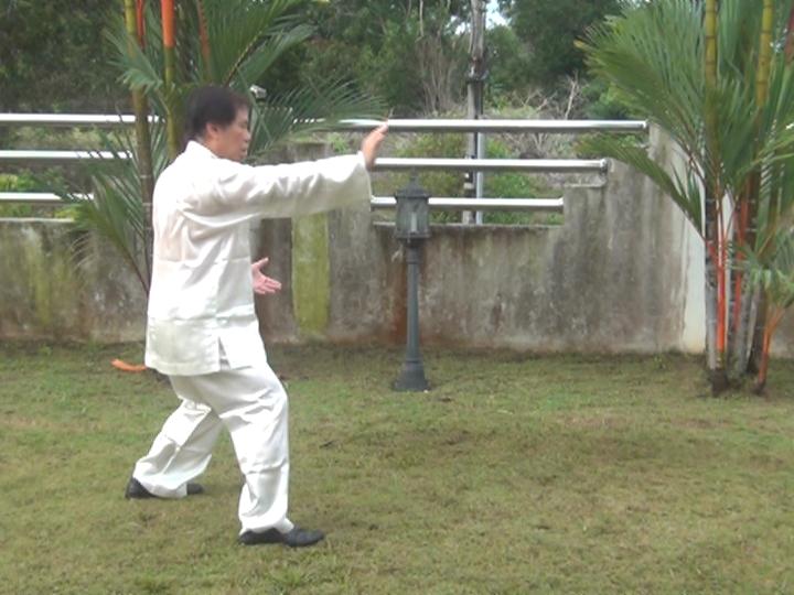 Yang Style Taijiquan, Tai Chi Chuan