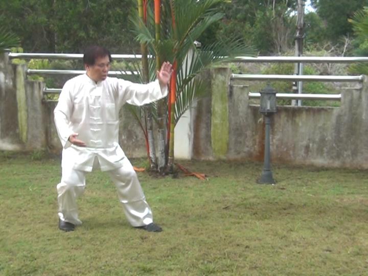 Yang Style Taijiquan, Tai Chi Chuan