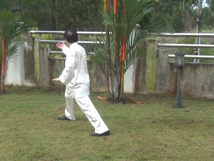 Yang Style Taijiquan, Tai Chi Chuan