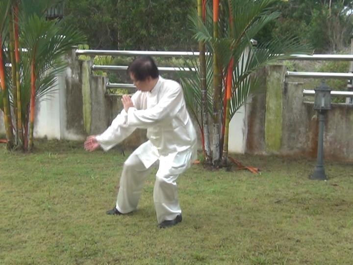 Yang Style Taijiquan, Tai Chi Chuan