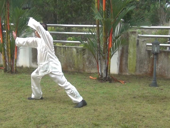 Yang Style Taijiquan, Tai Chi Chuan