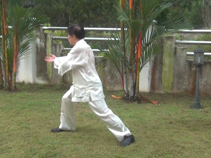 Yang Style Taijiquan, Tai Chi Chuan