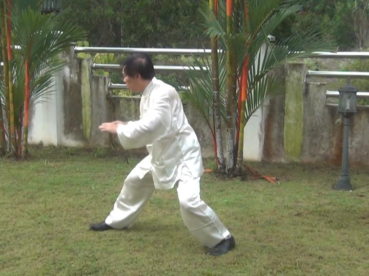 Yang Style Taijiquan, Tai Chi Chuan